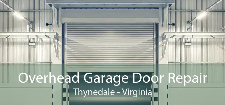 Overhead Garage Door Repair Thynedale - Virginia