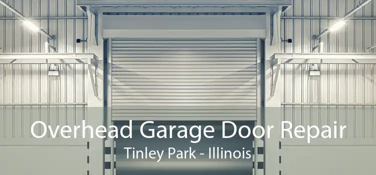 Overhead Garage Door Repair Tinley Park - Illinois