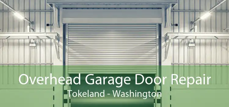 Overhead Garage Door Repair Tokeland - Washington