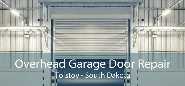 Overhead Garage Door Repair Tolstoy - South Dakota