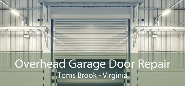 Overhead Garage Door Repair Toms Brook - Virginia
