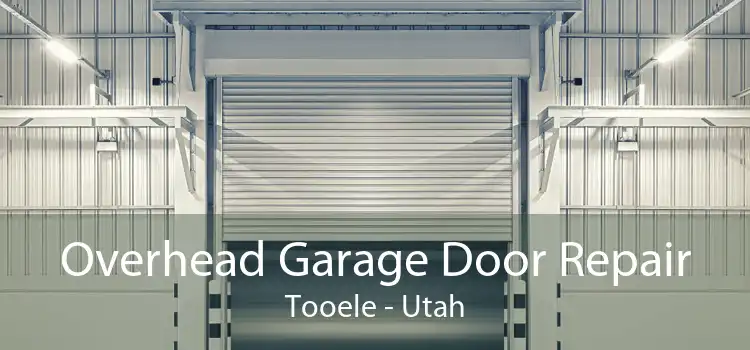 Overhead Garage Door Repair Tooele - Utah