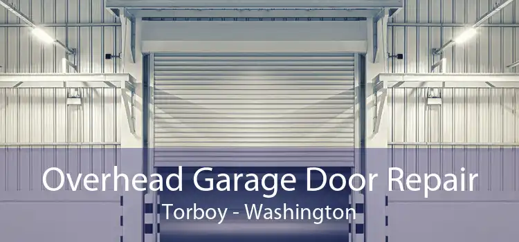 Overhead Garage Door Repair Torboy - Washington
