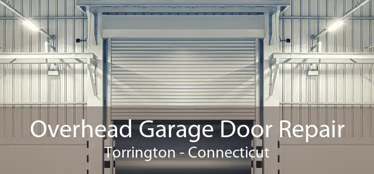Overhead Garage Door Repair Torrington - Connecticut