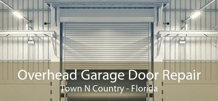 Overhead Garage Door Repair Town N Country - Florida