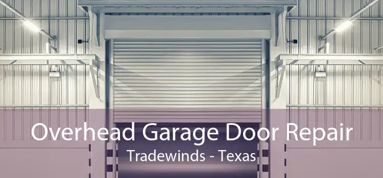 Overhead Garage Door Repair Tradewinds - Texas