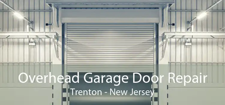 Overhead Garage Door Repair Trenton - New Jersey