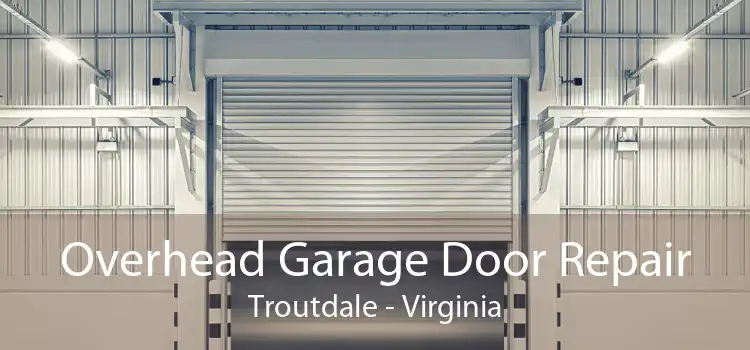 Overhead Garage Door Repair Troutdale - Virginia