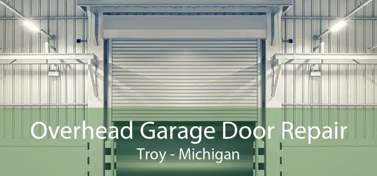Overhead Garage Door Repair Troy - Michigan