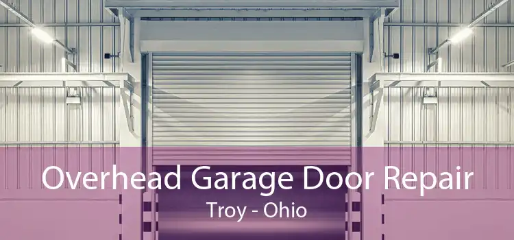 Overhead Garage Door Repair Troy - Ohio