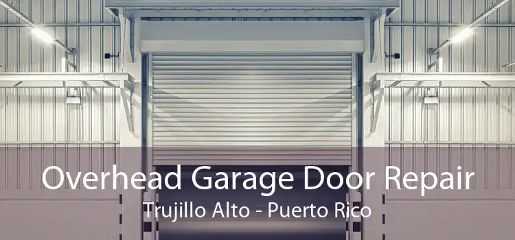 Overhead Garage Door Repair Trujillo Alto - Puerto Rico