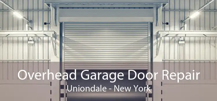 Overhead Garage Door Repair Uniondale - New York