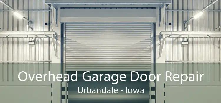 Overhead Garage Door Repair Urbandale - Iowa