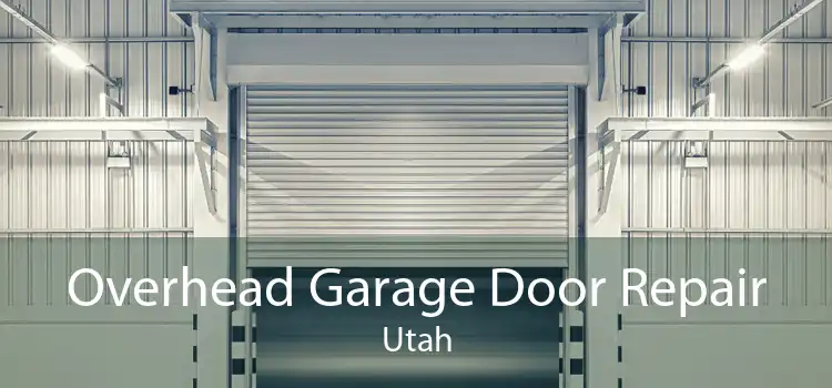 Overhead Garage Door Repair Utah