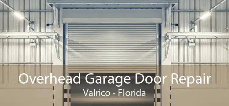 Overhead Garage Door Repair Valrico - Florida