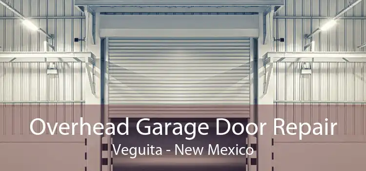 Overhead Garage Door Repair Veguita - New Mexico