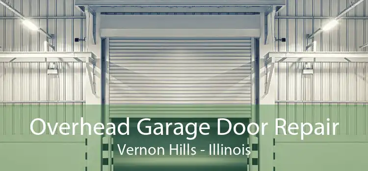 Overhead Garage Door Repair Vernon Hills - Illinois