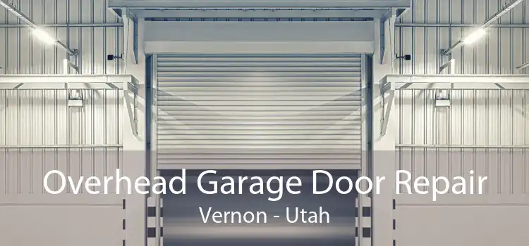 Overhead Garage Door Repair Vernon - Utah