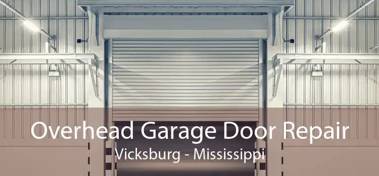 Overhead Garage Door Repair Vicksburg - Mississippi