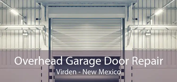 Overhead Garage Door Repair Virden - New Mexico