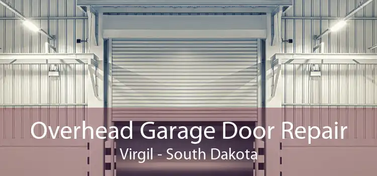 Overhead Garage Door Repair Virgil - South Dakota