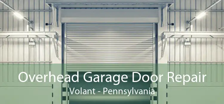 Overhead Garage Door Repair Volant - Pennsylvania