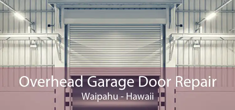 Overhead Garage Door Repair Waipahu - Hawaii