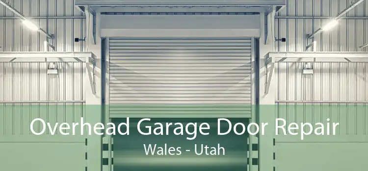 Overhead Garage Door Repair Wales - Utah