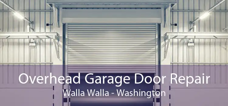 Overhead Garage Door Repair Walla Walla - Washington