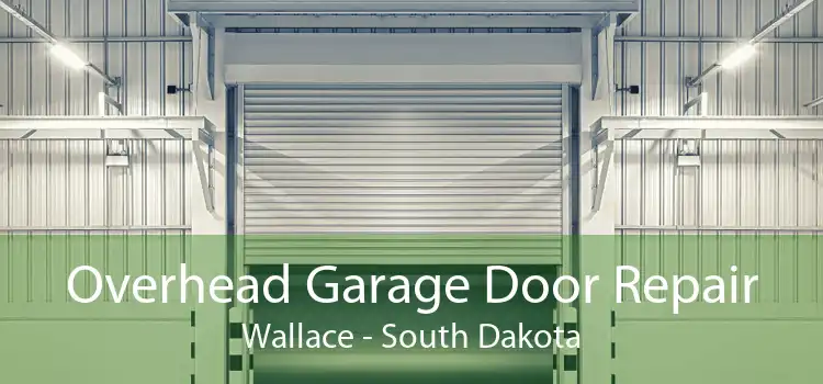 Overhead Garage Door Repair Wallace - South Dakota