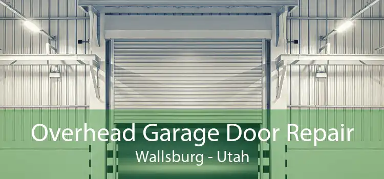 Overhead Garage Door Repair Wallsburg - Utah