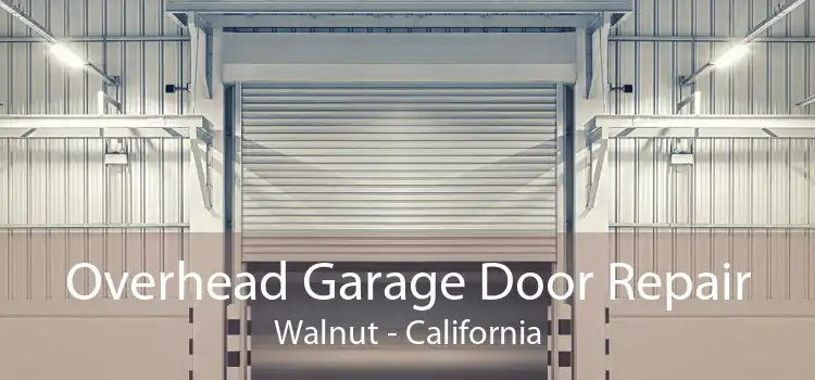 Overhead Garage Door Repair Walnut - California