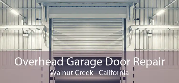 Overhead Garage Door Repair Walnut Creek - California
