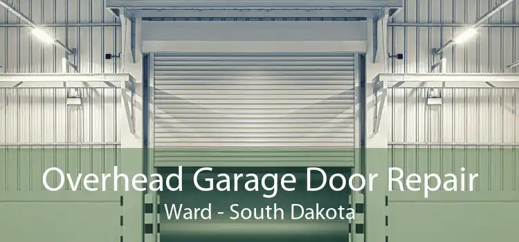 Overhead Garage Door Repair Ward - South Dakota