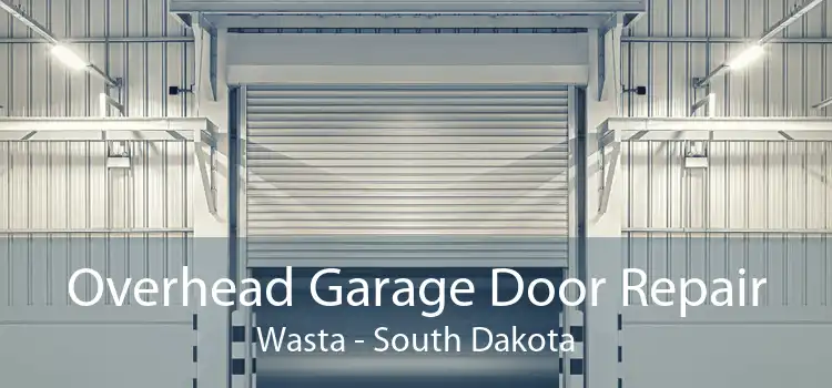 Overhead Garage Door Repair Wasta - South Dakota