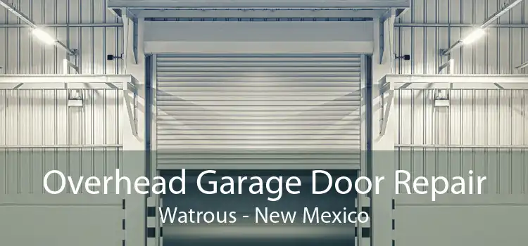 Overhead Garage Door Repair Watrous - New Mexico