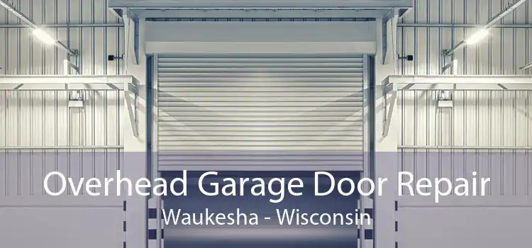 Overhead Garage Door Repair Waukesha - Wisconsin