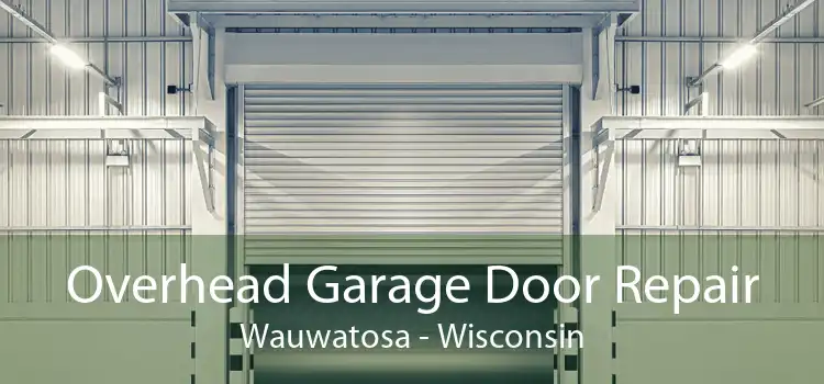 Overhead Garage Door Repair Wauwatosa - Wisconsin