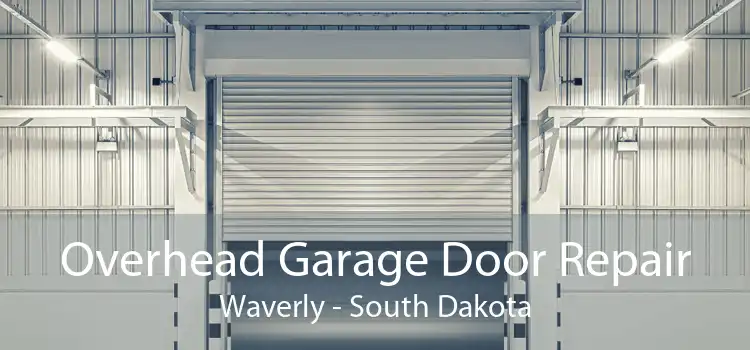 Overhead Garage Door Repair Waverly - South Dakota