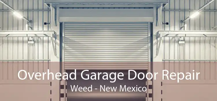 Overhead Garage Door Repair Weed - New Mexico