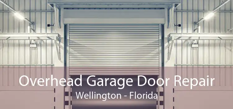 Overhead Garage Door Repair Wellington - Florida