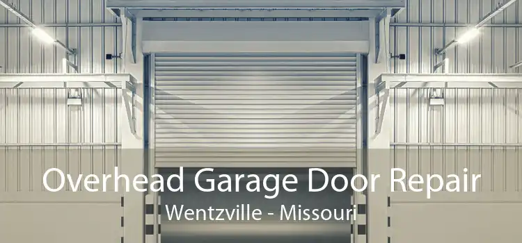 Overhead Garage Door Repair Wentzville - Missouri