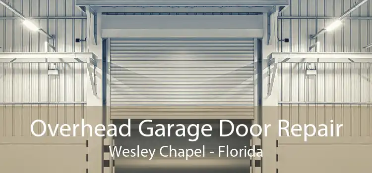 Overhead Garage Door Repair Wesley Chapel - Florida
