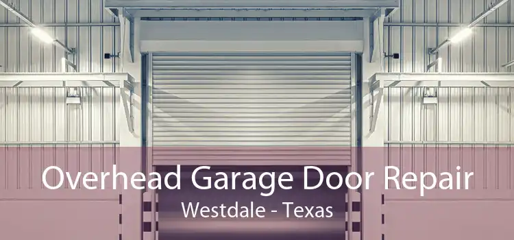 Overhead Garage Door Repair Westdale - Texas