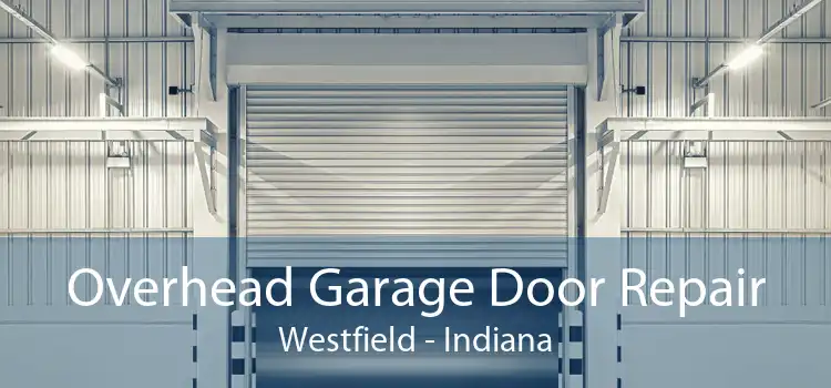 Overhead Garage Door Repair Westfield - Indiana