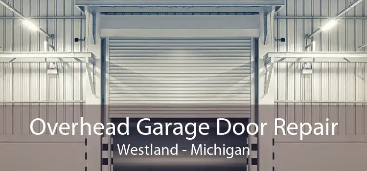 Overhead Garage Door Repair Westland - Michigan