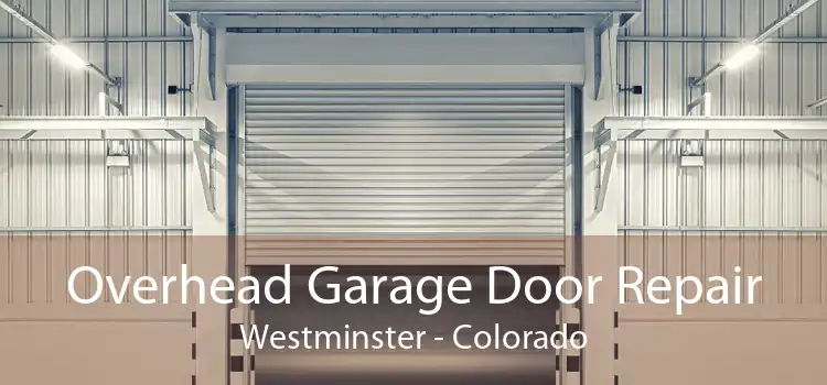 Overhead Garage Door Repair Westminster - Colorado