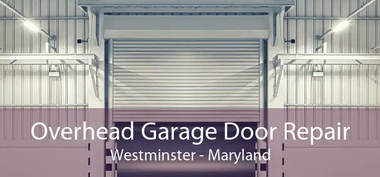 Overhead Garage Door Repair Westminster - Maryland
