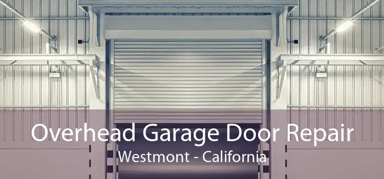 Overhead Garage Door Repair Westmont - California