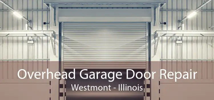 Overhead Garage Door Repair Westmont - Illinois